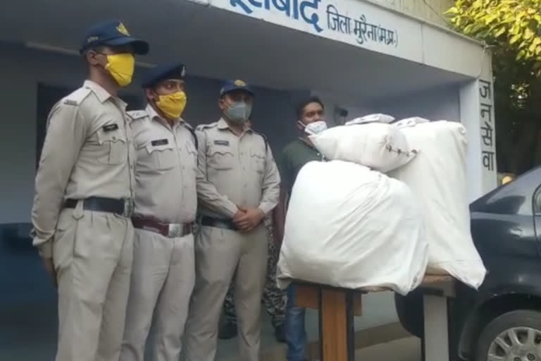 टॉफी के पैकेट में छुपाकर ले जा रहे 12 लाख रुपए का 82 किलो गांजा,महिला सहित तीन गिरफ्तार, आंध्रप्रदेश से मुरैना ले जा रहे थे खपाने