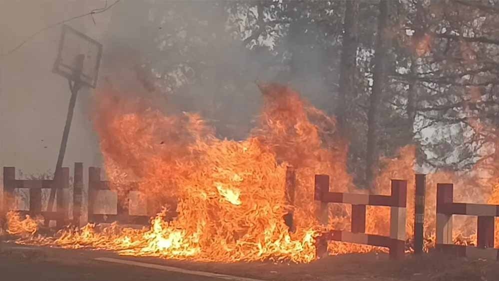 फिर आग की चपेट में पर्यटन नगरी, 16 घंटे तक धधकते रहे नैनीताल के जंगल