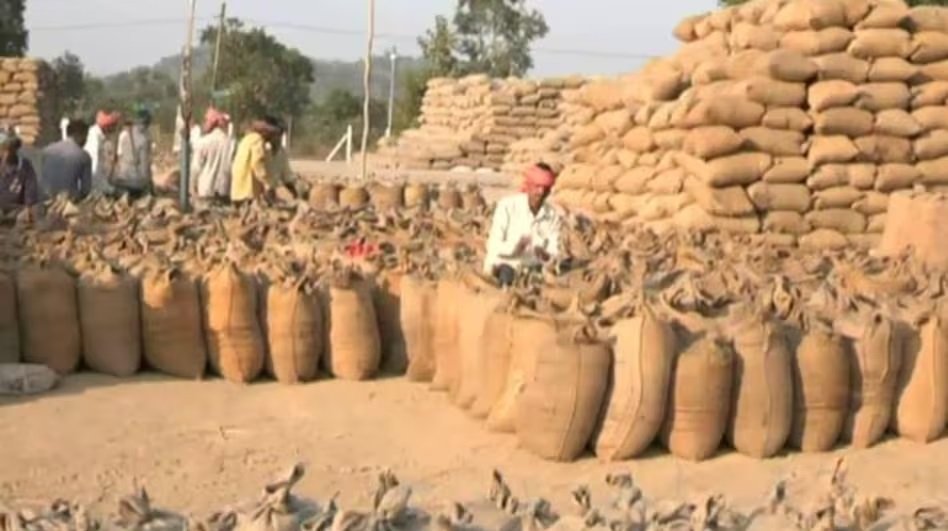 किसानों की बल्ले-बल्ले, 6 दिन में कमाए 502 करोड़ रुपये, अभी और होगी कमाई, जानिए इसलिए मिली है ये रकम 