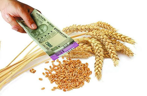 न्यूनतम समर्थन मूल्य पर 78,721 करोड़ रुपए मूल्य के रिकॉर्ड 398.59 लाख टन गेहूं की खरीद