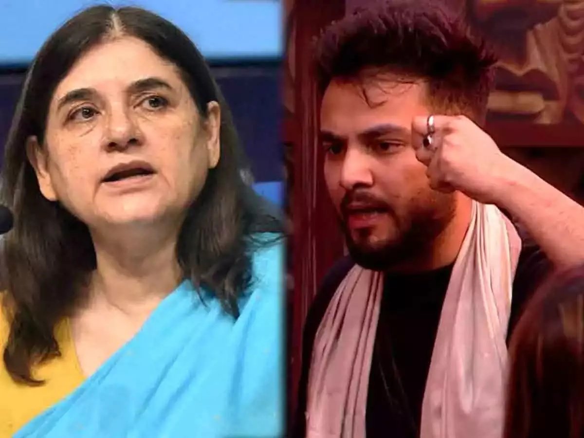 एल्विश यादव पर फूटा मेनका गांधी का गुस्सा, ये सरगना हैं
