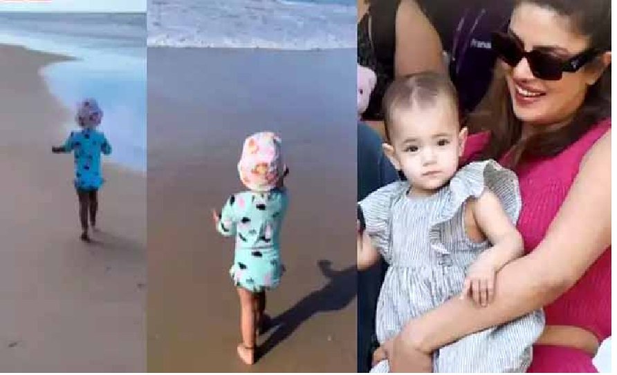 प्रियंका चोपड़ा की बेटी को समंदर किनारे दौड़ते देख बॉलीवुड ने लुटाया प्यार, मालती से नजर न हटेगी